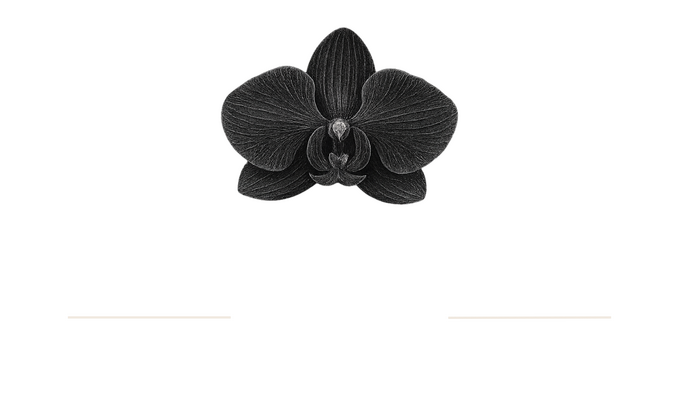 Black Orchid Bar Co. Logo Black Orchid Bar Co. Logo - Private Bartending Service, Austin, Texas